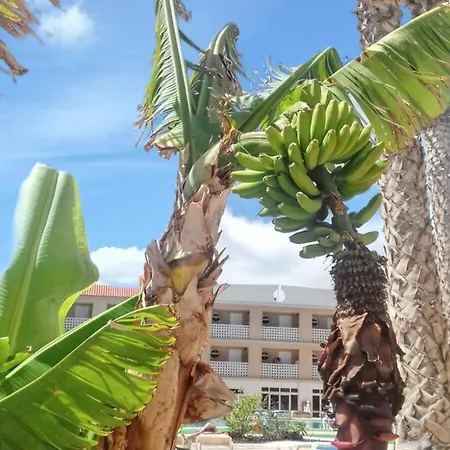 Cozy In 55 M² With Pool Costa Del Silencio