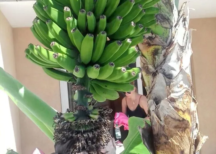 Beachside With Pool And Wi-fi Costa Del Silencio