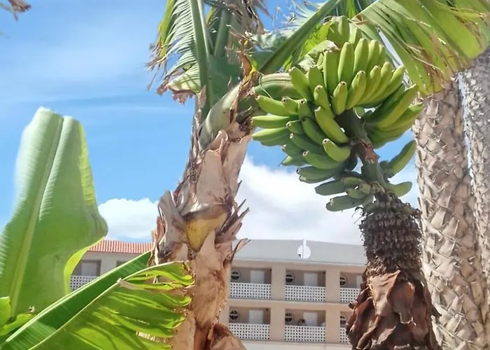 Beachside With Pool And Wi-fi Costa Del Silencio