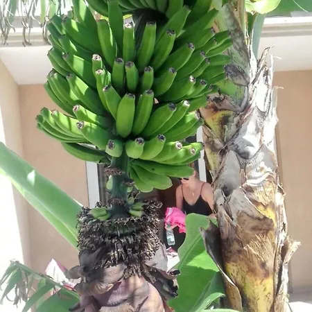 Beachside With Pool And Wi-fi Costa Del Silencio